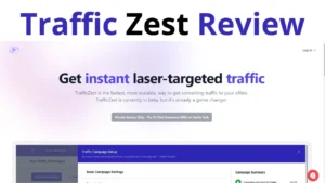 Traffic Zest Review